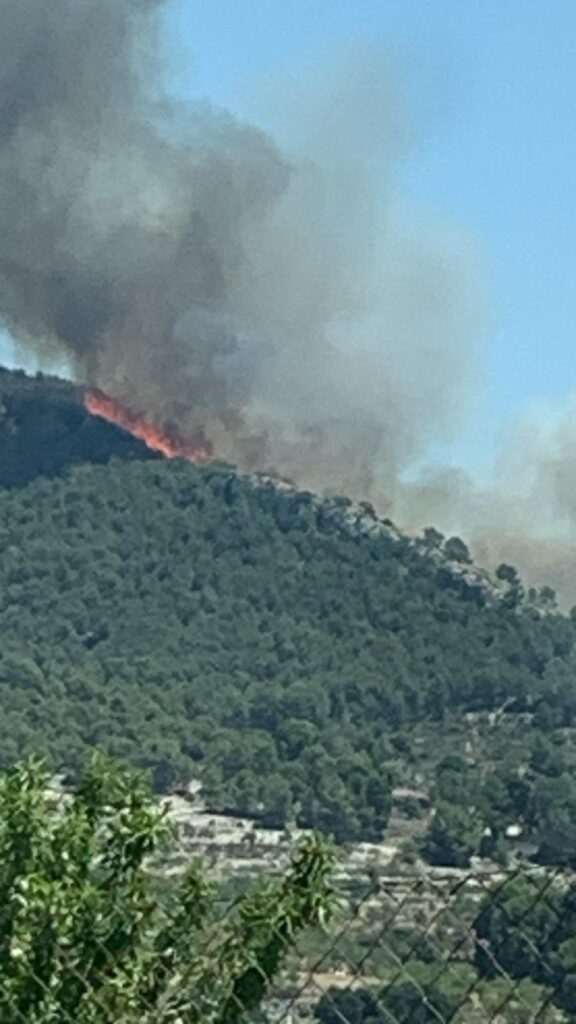 Incendio forestal en Ibi (Alicante), junto al paraje de la Font Roja y la Sierra Mariola 2 Imagen de WhatsApp 2025 07 18 a las 14.24.46 669ac99e
