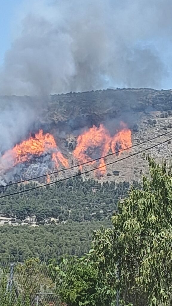 Incendio forestal en Ibi (Alicante), junto al paraje de la Font Roja y la Sierra Mariola 4 Imagen de WhatsApp 2025 07 18 a las 14.24.46 95d8db27