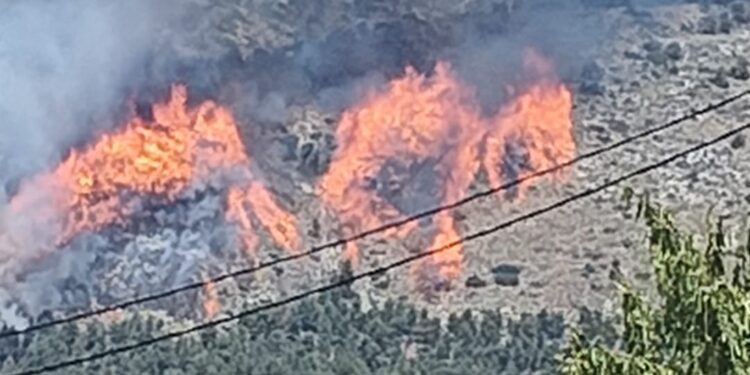 Incendio forestal en Ibi (Alicante), junto al paraje de la Font Roja y la Sierra Mariola 1 Incendio forestal en Ibi (Alicante), junto al paraje de la Font Roja y la Sierra Mariola