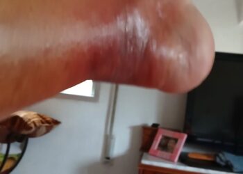 La araña violín: una plaga silenciosa en Náquera, Bétera y Serra