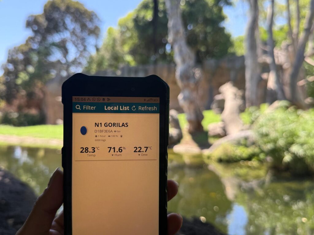 BIOPARC Valencia demuestra con datos de hasta -7ºC el éxito del efecto de la vegetación para crear refugios climáticos 2 Medicion temperaturas y sensacion termica en BIOPARC Valencia gorilas