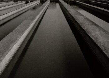 El IVAM revisará sus vínculos con los territorios, las comunidades y los ecosistemas que los rodean a través de la línea Museo Anfibio