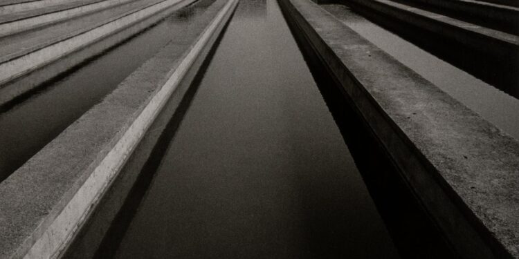 El IVAM revisará sus vínculos con los territorios, las comunidades y los ecosistemas que los rodean a través de la línea Museo Anfibio