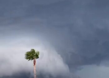 Un reguero de daños en Castelló por las fuertes tormentas de ayer