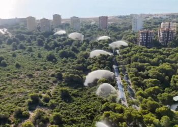 Activan los 8 cañones de agua del Saler ante el riesgo extremo de incendio forestales