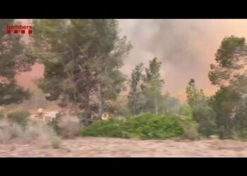 El incendio de Paüls (Tarragona) llena la costa de Valencia y Alicante de humo y un fuerte olor a quemado 1 El incendio de Paüls (Tarragona) llena la costa de Valencia y Alicante de humo y un fuerte olor a quemado