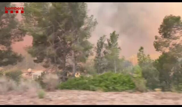 El incendio de Paüls (Tarragona) llena la costa de Valencia y Alicante de humo y un fuerte olor a quemado