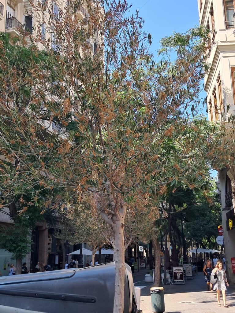 WhatsApp Image 2025 07 03 at 20.13.50