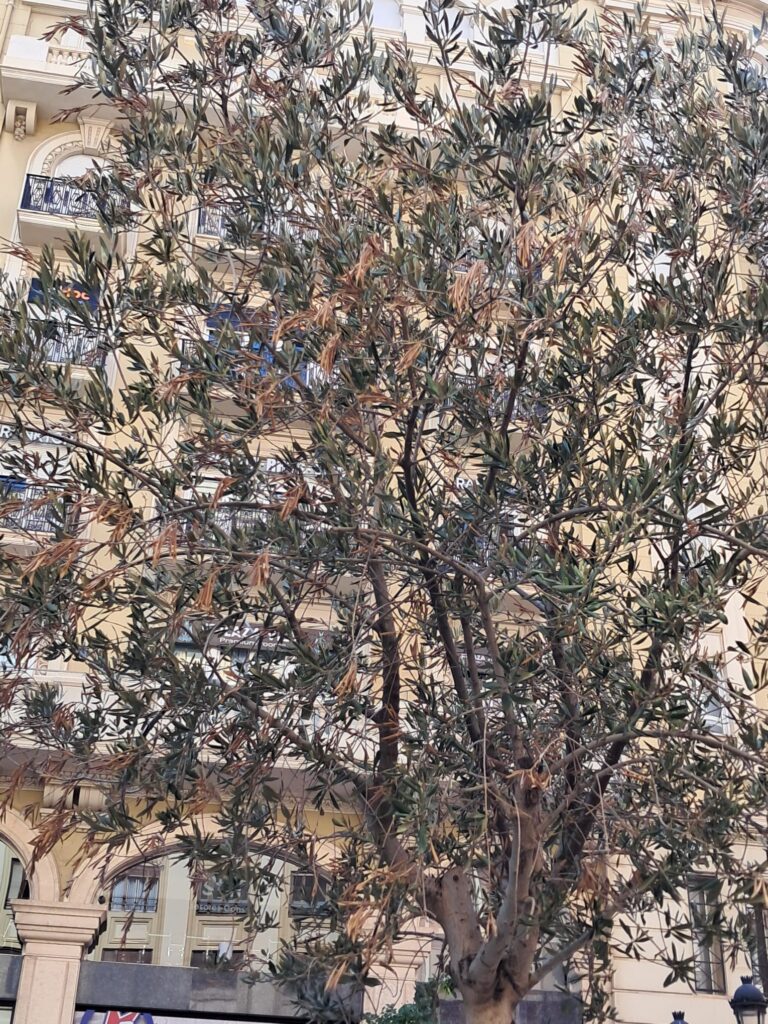 WhatsApp Image 2025 07 03 at 20.14.26