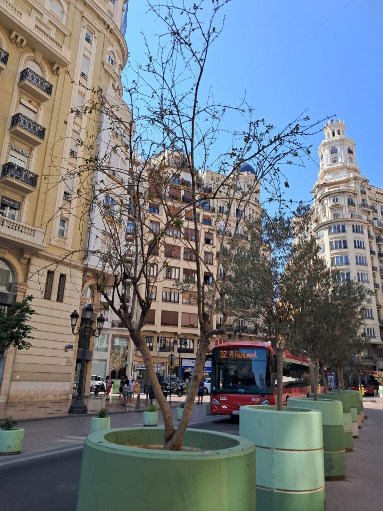 WhatsApp Image 2025 07 03 at 20.14.261