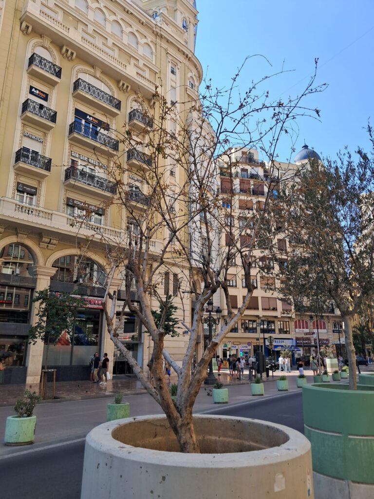 WhatsApp Image 2025 07 03 at 20.14.262