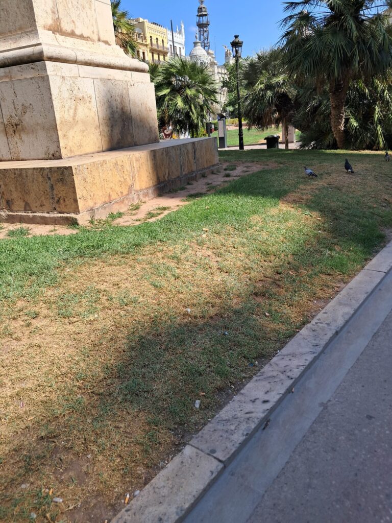 WhatsApp Image 2025 07 03 at 20.14.264