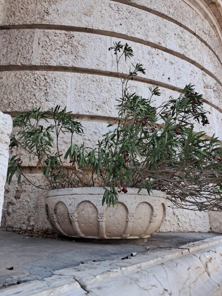 WhatsApp Image 2025 07 03 at 20.14.265