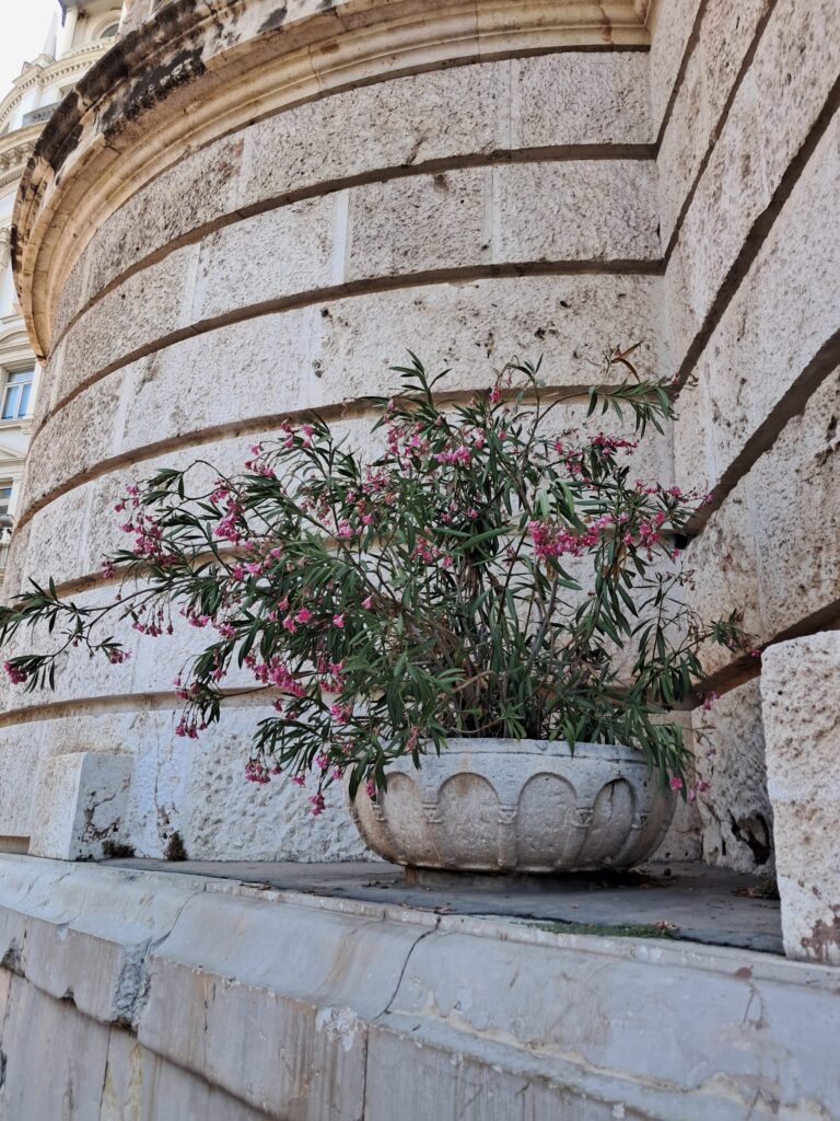 WhatsApp Image 2025 07 03 at 20.14.266