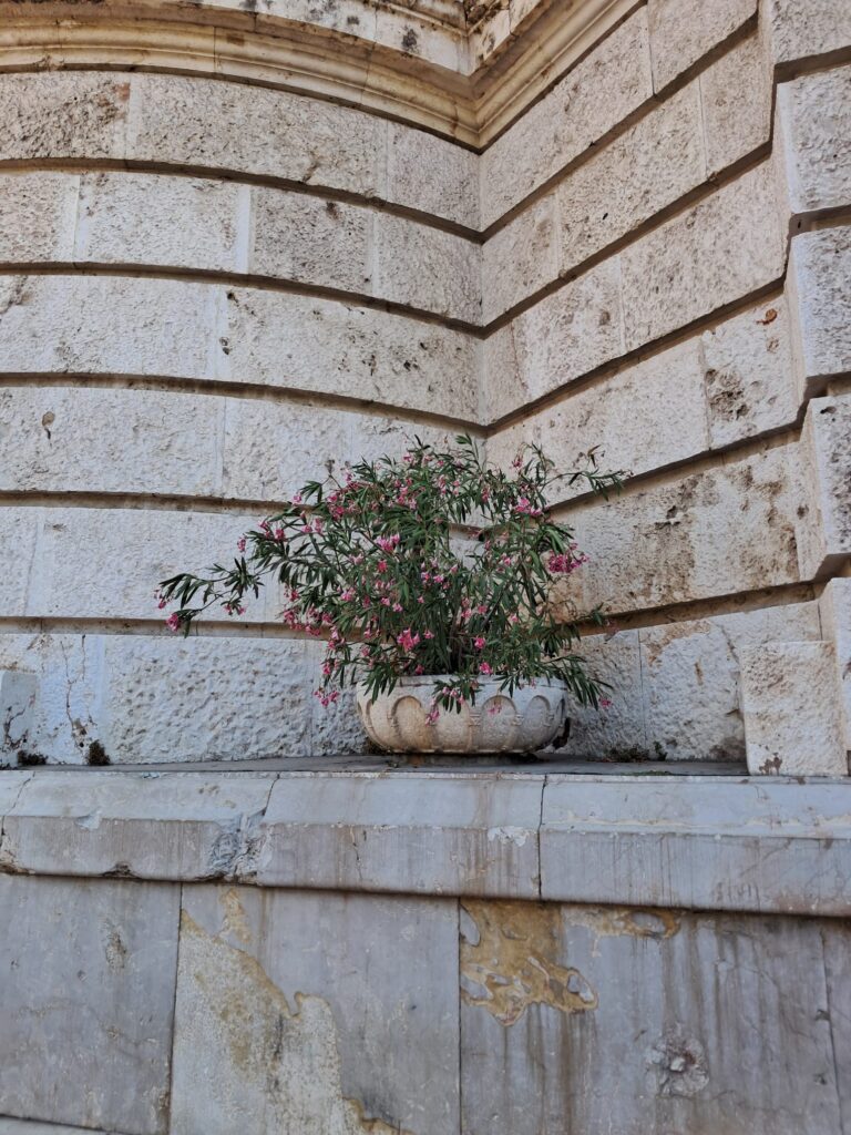 WhatsApp Image 2025 07 03 at 20.14.27