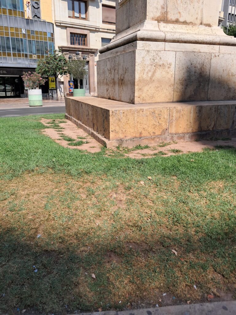 WhatsApp Image 2025 07 03 at 20.14.501