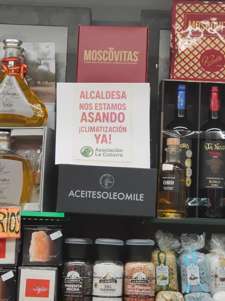 Una vendedora del Mercado Central acaba en el Hospital por un golpe de calor dentro del Mercado Central de Valencia 5 WhatsApp Image 2025 07 05 at 11.16.42