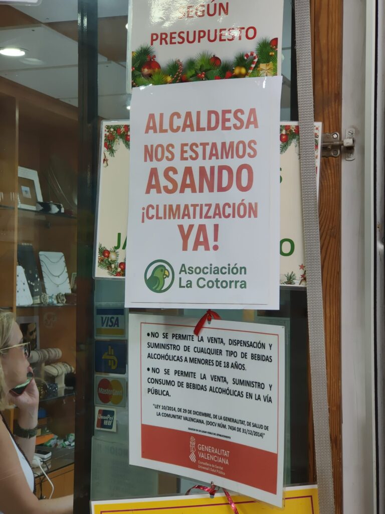 Una vendedora del Mercado Central acaba en el Hospital por un golpe de calor dentro del Mercado Central de Valencia 4 WhatsApp Image 2025 07 05 at 11.16.421