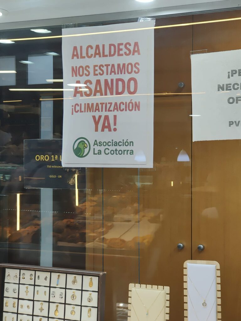 Una vendedora del Mercado Central acaba en el Hospital por un golpe de calor dentro del Mercado Central de Valencia 2 WhatsApp Image 2025 07 05 at 11.16.431