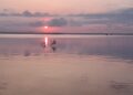 Agua muy oscura en la Albufera: los expertos suspenden la calidad del lago y ven un futuro sombrío 11 Paseo en barca por l'Albufera al atardecer, una de las actividades más relajantes y educativas de la Feria de Julio