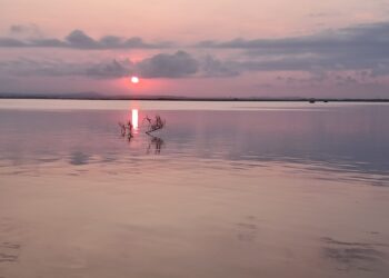Paseo en barca por l'Albufera al atardecer, una de las actividades más relajantes y educativas de la Feria de Julio