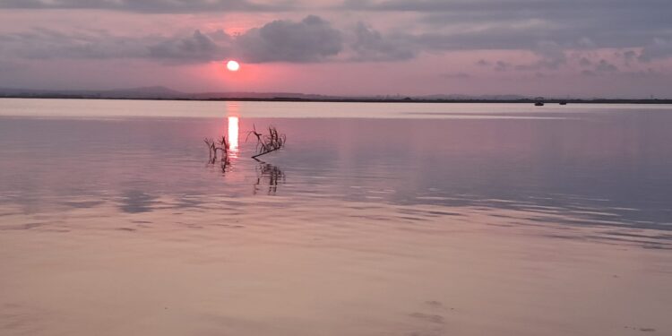 Paseo en barca por l'Albufera al atardecer, una de las actividades más relajantes y educativas de la Feria de Julio