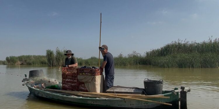 Devesa-Albufera exime del canon de pesca a los pescadores de La Albufera por los efectos de la riada