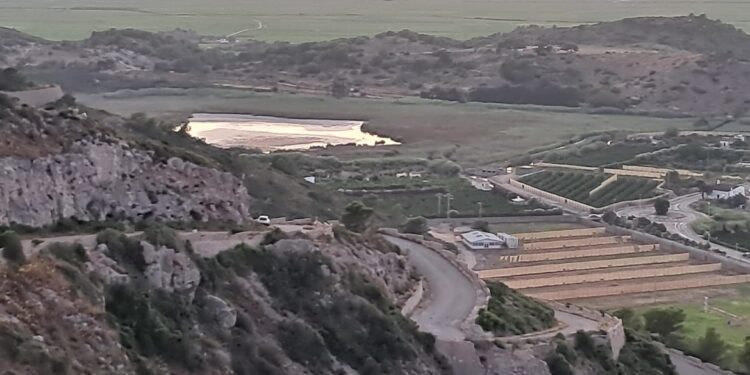 La Bassa de Sant Llorenç de Cullera se seca 1 La Bassa de Sant Llorenç de Cullera se seca