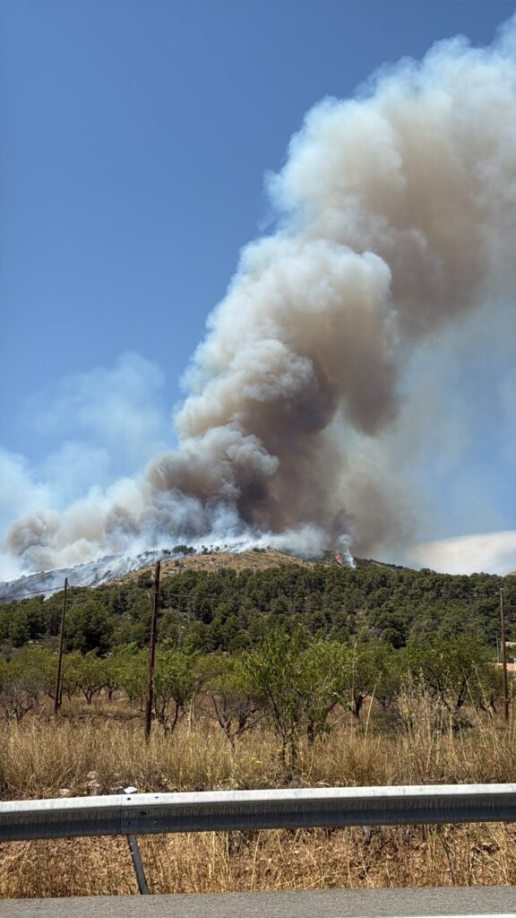 Incendio forestal en Ibi (Alicante), junto al paraje de la Font Roja y la Sierra Mariola 5 WhatsApp Image 2025 07 18 at 15.07.40