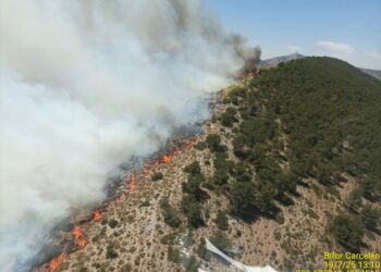 Varios incendios ponen en jaque a los medios de la Comunitat Valenciana