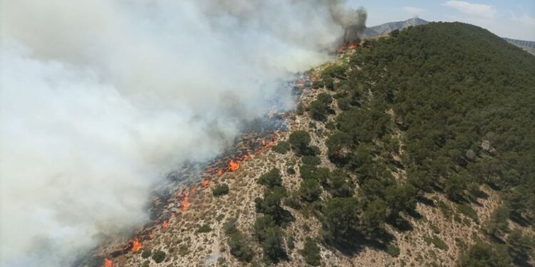 Varios incendios ponen en jaque a los medios de la Comunitat Valenciana 1 Varios incendios ponen en jaque a los medios de la Comunitat Valenciana