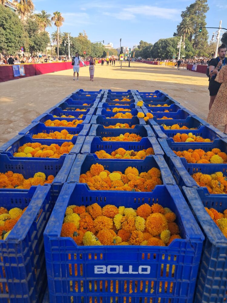Un año más Valencia cumplió con la Batalla de Flors
