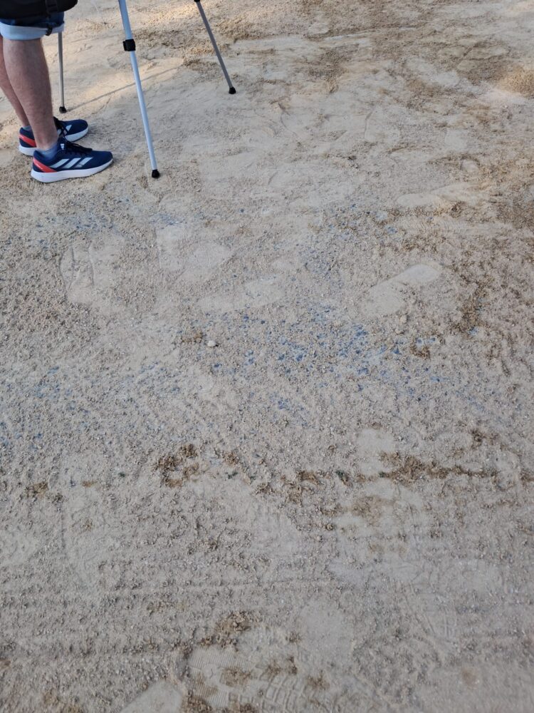 Un año más Valencia cumplió con la Batalla de Flors