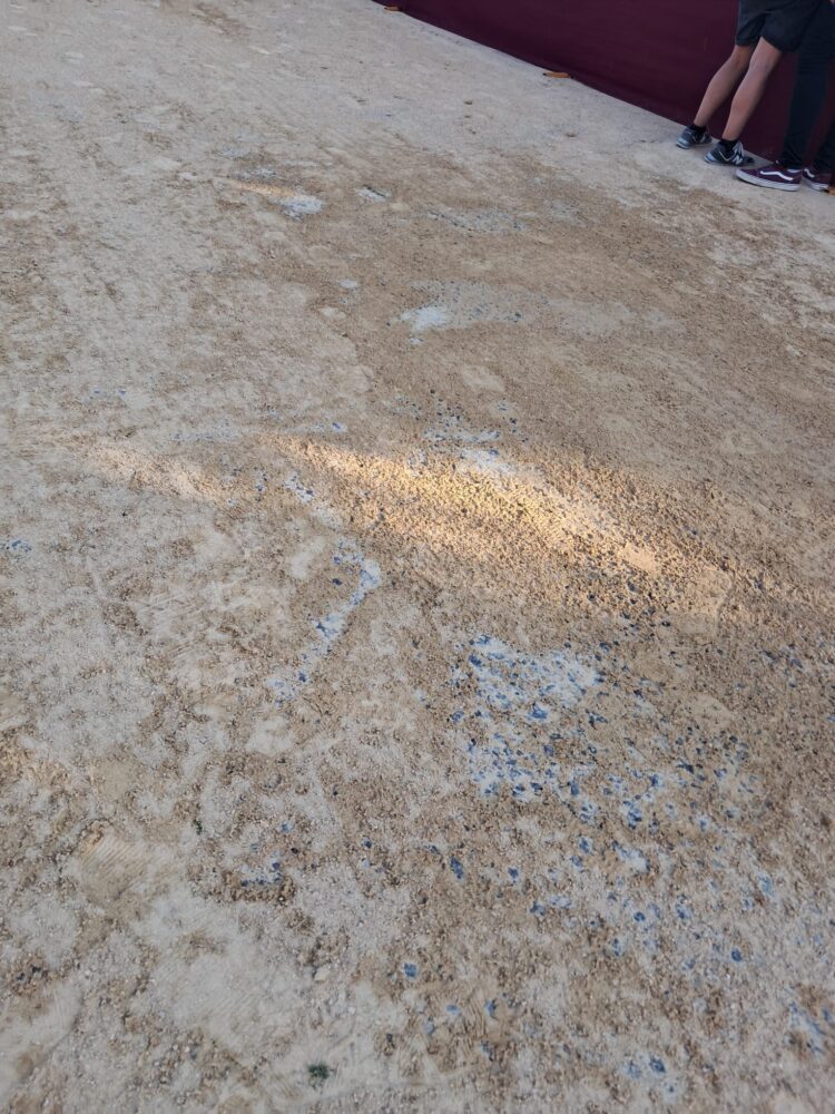 Un año más Valencia cumplió con la Batalla de Flors