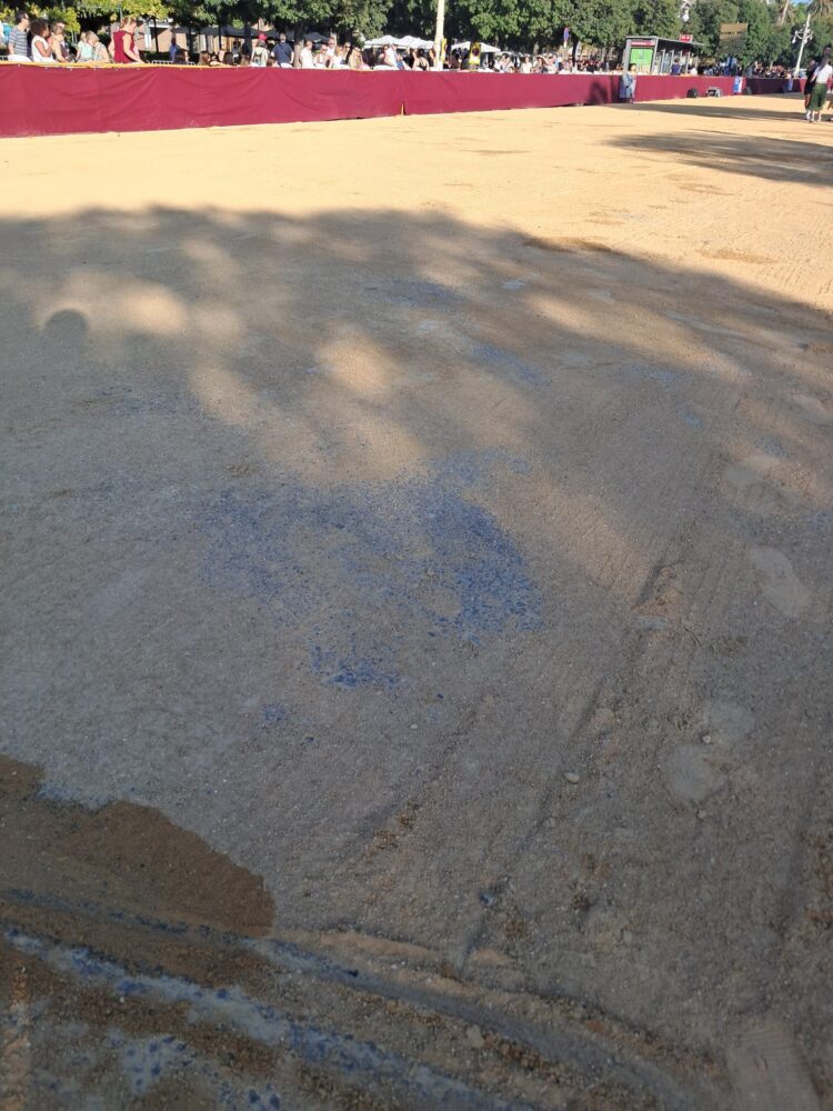 Un año más Valencia cumplió con la Batalla de Flors