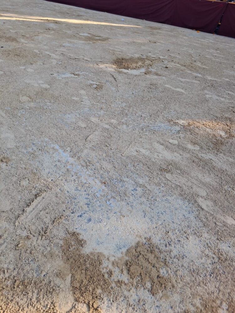 Un año más Valencia cumplió con la Batalla de Flors