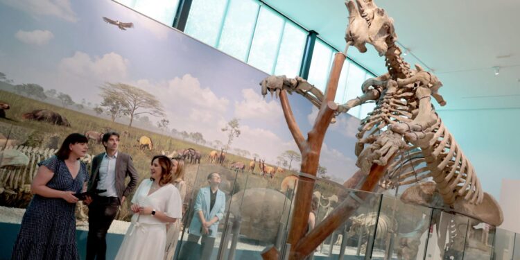 Reabre el Paleontològic-Museu de Coleccions Naturals 1 Reabre el Paleontològic-Museu de Coleccions Naturals