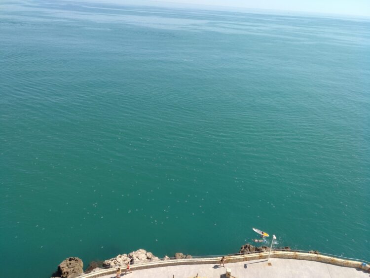Decenas de medusas en el Faro de Cullera y su cala cada mañana