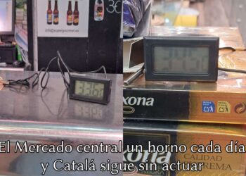 El Mercado Central, Catalá sigue sin actuar con las lipotimias, daños y problemas del calor