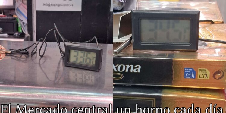 El Mercado Central, Catalá sigue sin actuar con las lipotimias, daños y problemas del calor