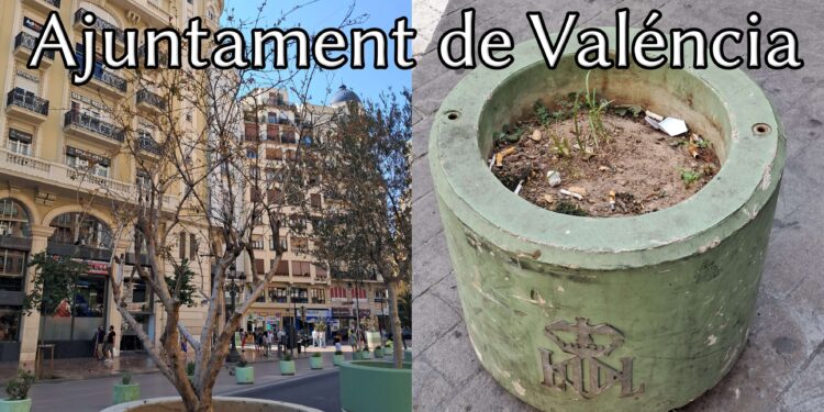 A la alcaldesa María José Catalá se le secan las plantas de la Plaza del Ayuntamiento por falta de riego