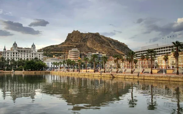 Lo Rat Penat denuncia l’hipocresia en la defensa del Valencià en Alacant