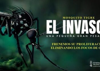 Sanidad alerta sobre el mosquito tigre y aconseja evitar acumulaciones de agua en la Comunitat Valenciana