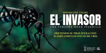 Sanidad alerta sobre el mosquito tigre y aconseja evitar acumulaciones de agua en la Comunitat Valenciana