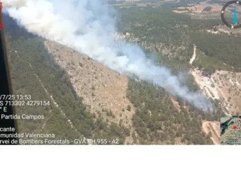 Nueve medios aéreos y decenas de bomberos combaten el incendio forestal declarado en Ibi (Alicante)