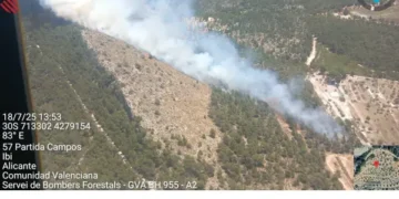 Nueve medios aéreos y decenas de bomberos combaten el incendio forestal declarado en Ibi (Alicante)