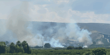 7 medios aéreos luchan contra el #IFAntella y Bomberos da por controlado el #IFCheste