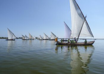 Próximas exhibiciones de Vela Latina en l'Albufera