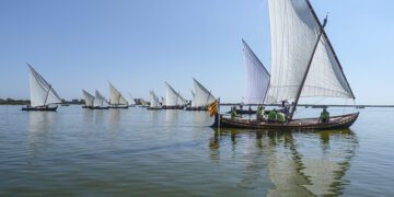Próximas exhibiciones de Vela Latina en l'Albufera