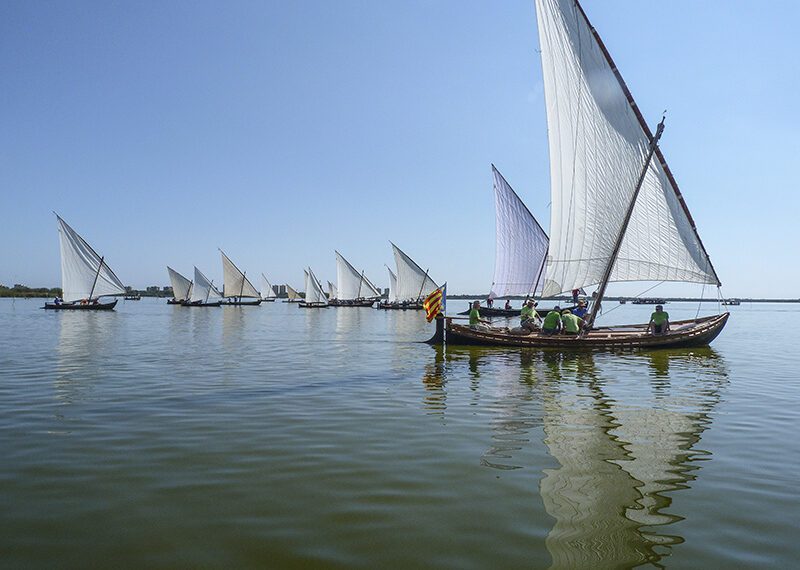 Los municipios lanzan un mensaje urgente sobre la Albufera: “Sin inversión y sin agua no hay futuro” 1 Próximas exhibiciones de Vela Latina en l'Albufera